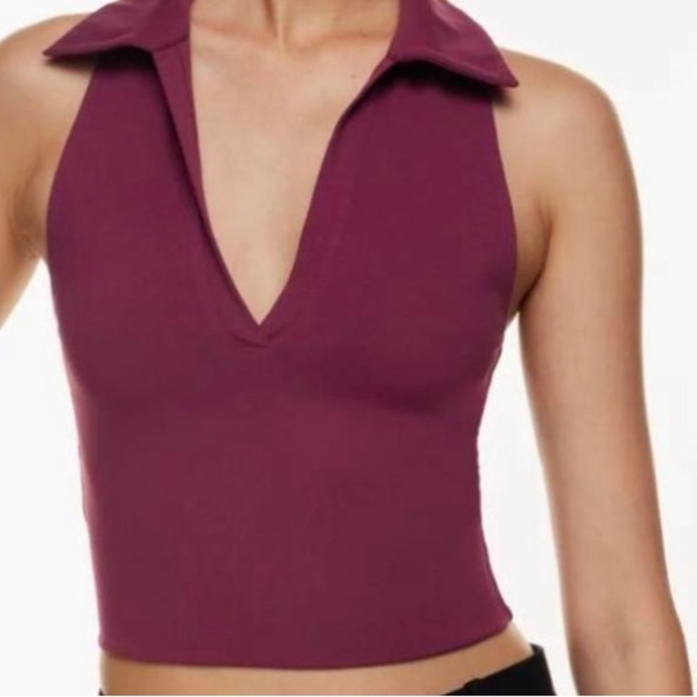 Aritzia Babaton polo crop top